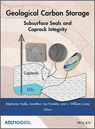 Geological Carbon Storage: Subsurface Seals and Caprock Integrity - Pdf